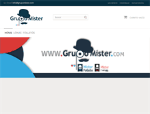 Tablet Screenshot of grupomister.com